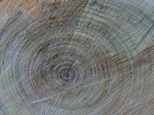 Textura de madeira — Fotografia de Stock