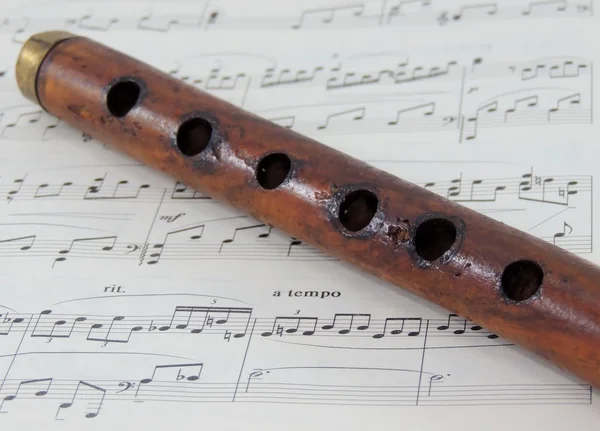 müzik aletleri