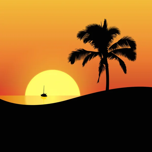 Palm Sunset — Stock Vector