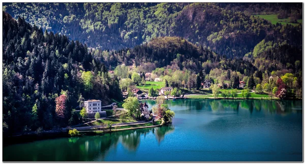 Lac de Bled — Photo