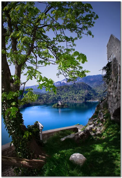 Sjön bled - Slovenien — Stockfoto