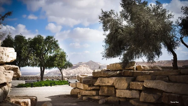 Park in the Arava desert — Stock Photo, Image