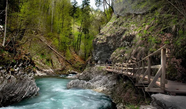 Slovena — Foto Stock