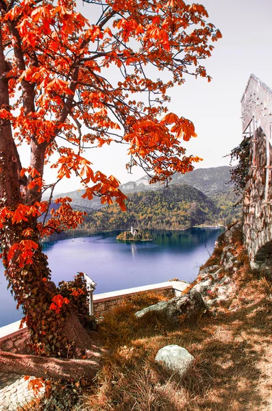 Lago di Bled — Foto Stock