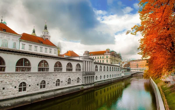 Slovenia - Ljubljana — Stock Photo, Image