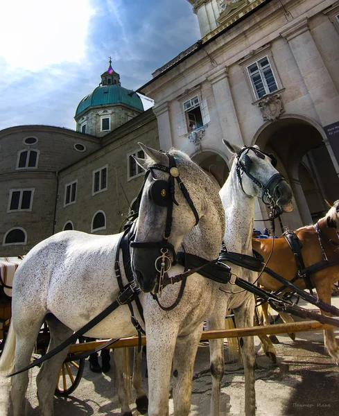 Salzburg - Rakousko — Stock fotografie