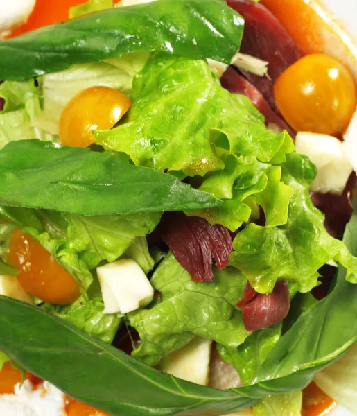 Ensalada - Pechuga de pato ahumado con salsa roja — Foto de Stock