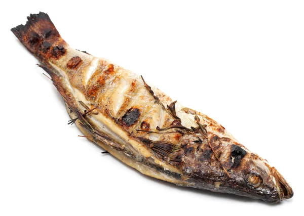 Barbecue 的海鲈鱼 — 图库照片