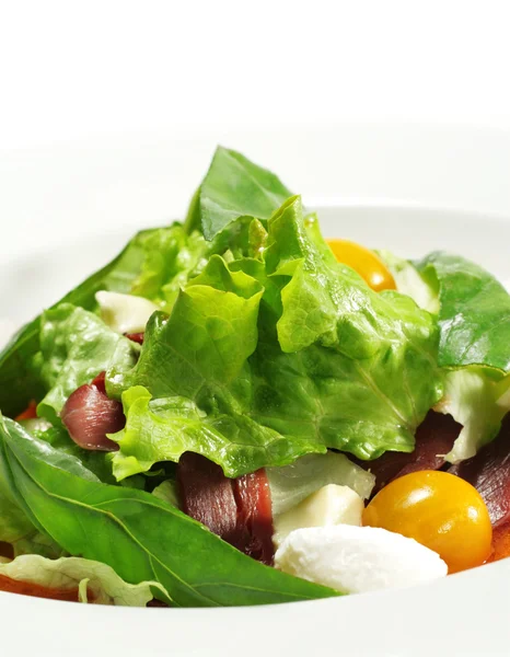 Salat - geräuchertes Magret mit roter Chaud-Froid-Sauce — Stockfoto