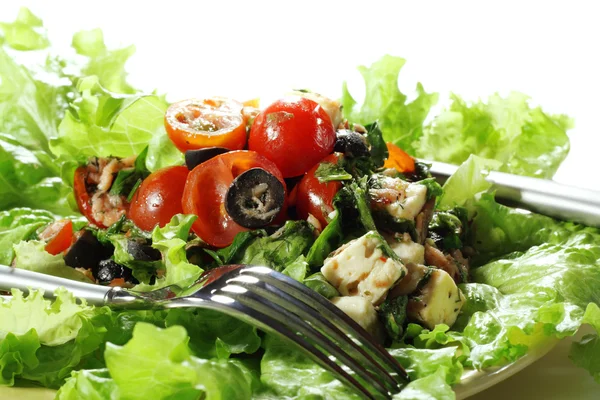 Salada de legumes — Fotografia de Stock