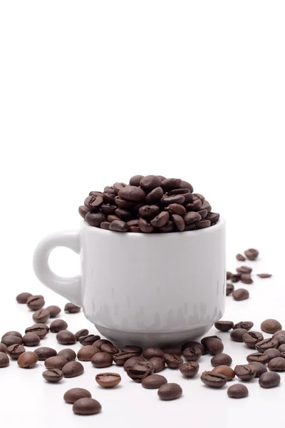 Kaffe utsäde — Stockfoto