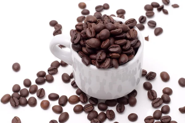 Семена кофе — стоковое фото