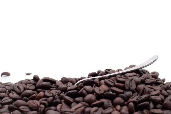 Kahve tohum — Stok fotoğraf