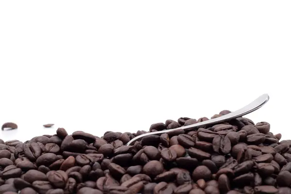 Coffee seed — Stock Photo, Image