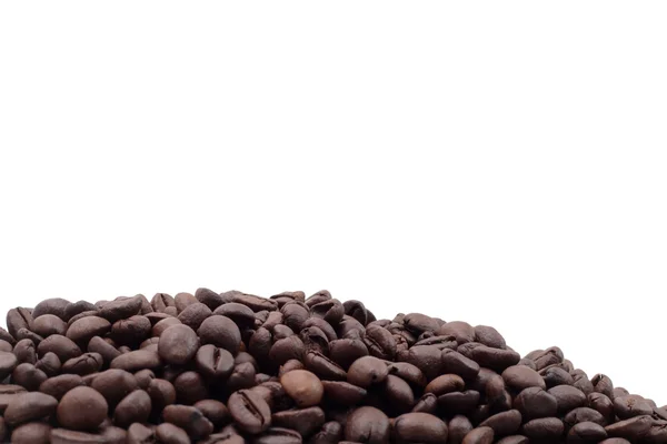 Coffee seed — Stock Photo, Image