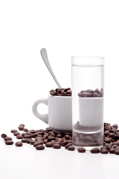 Koffie zaad — Stockfoto