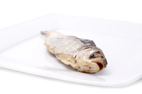 Fish — Stock Photo, Image