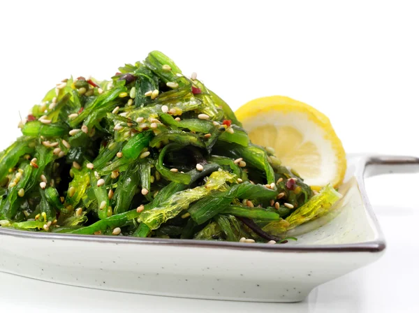 Japan Salad on a Plate — Stock Photo, Image