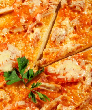 tavuk pizza