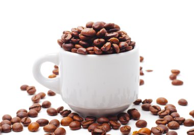 kahve tohum ve Kupası