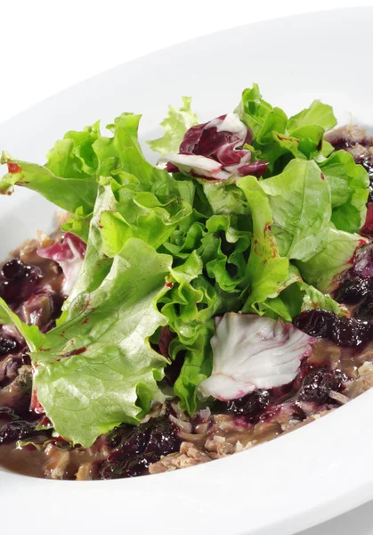 Borst van eend salade — Stockfoto