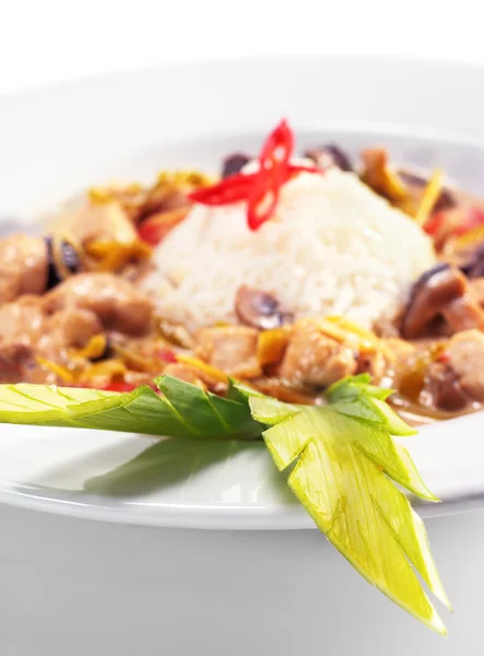 Braised Chicken Slice with Rice Heap — Stock Photo, Image