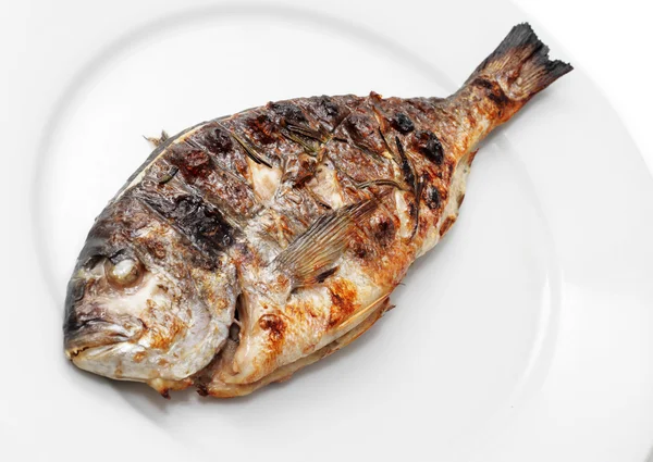 Grilled Dorado — Stock Photo, Image