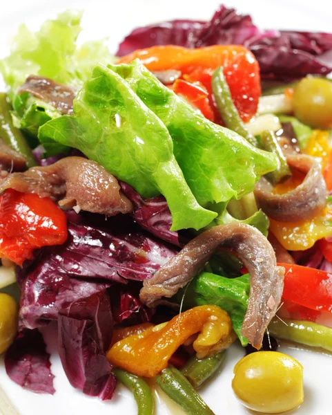 Salade met ansjovis — Stockfoto