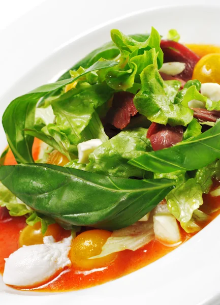 Salat - Entenbrust mit roter Chaud-Froid-Sauce — Stockfoto