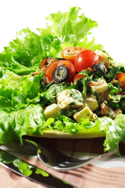 Groente salade — Stockfoto