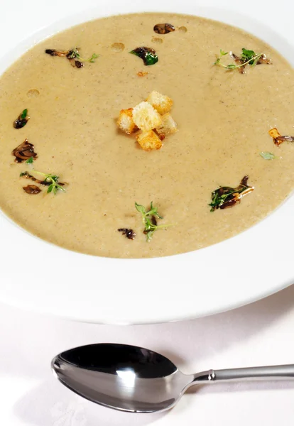 Cream of Mushroom Soup — Stock Photo, Image