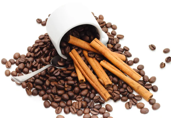 Koffie zaad en cup — Stockfoto