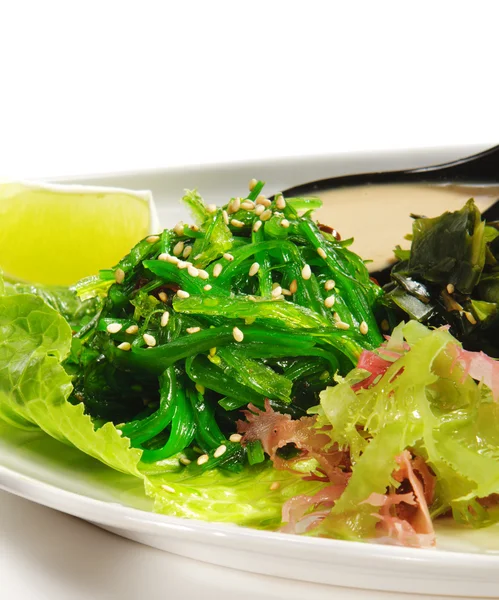 Japanische Küche - Algensalat — Stockfoto