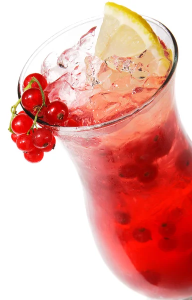 Redcurrants Cocktail — Stock Photo, Image