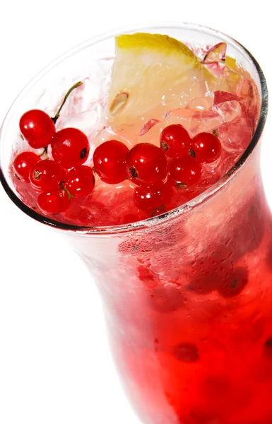 Redcurrants Cocktail — Stock Photo, Image