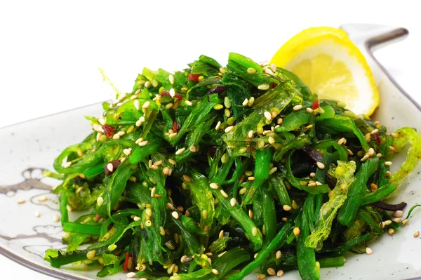 Japanese Cuisine - Salad from Seaweed — Stock Photo, Image