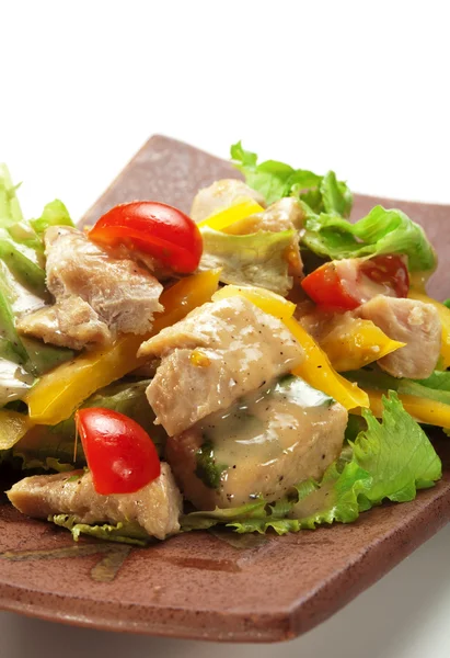 Hähnchenbrustsalat — Stockfoto