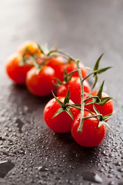 Tomates cereja — Fotografia de Stock