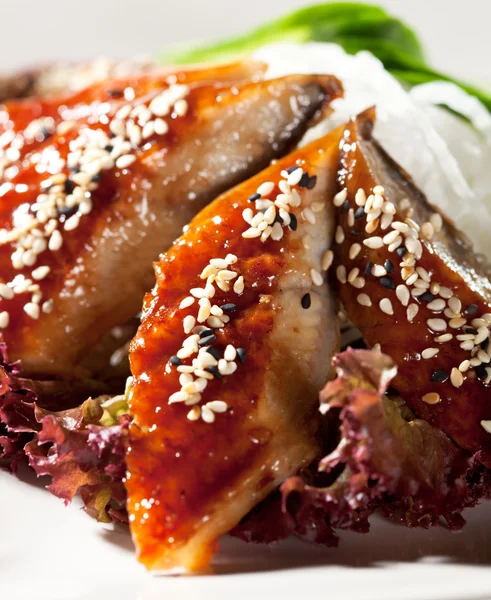 Unagi sashimi — Zdjęcie stockowe