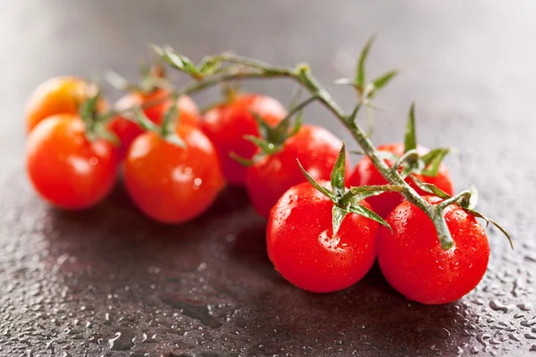 Tomates cereja — Fotografia de Stock