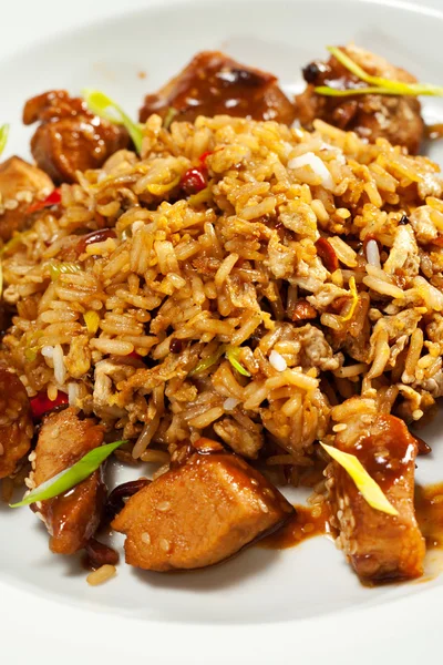 Plats thaïlandais - Porc avec RIce — Photo