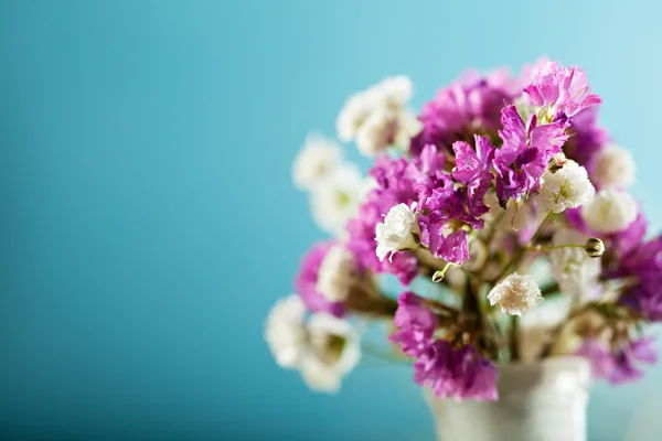 Piccoli fiori — Foto Stock