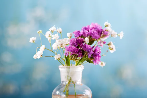 Küçük çiçekler — Stok fotoğraf