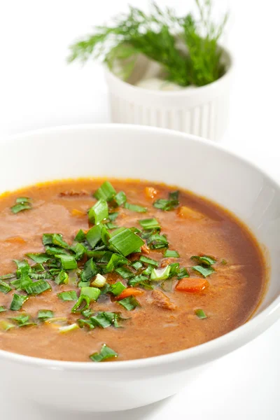 Meat Soup — Stock Photo, Image