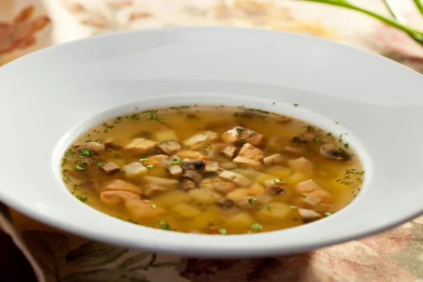 Salmon Soup — Stock Image Salmon Soup Stock Image