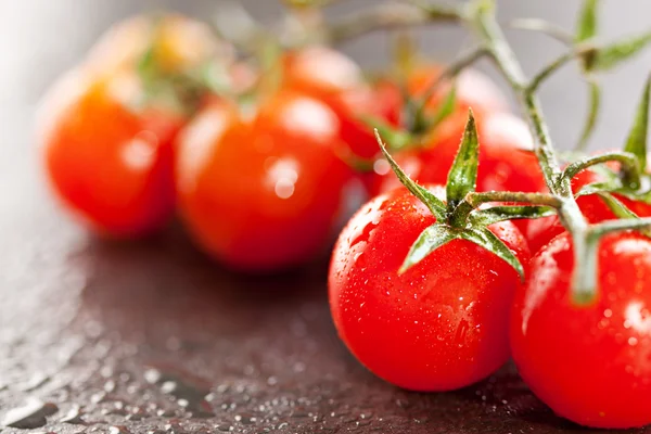 Tomates cereja — Fotografia de Stock