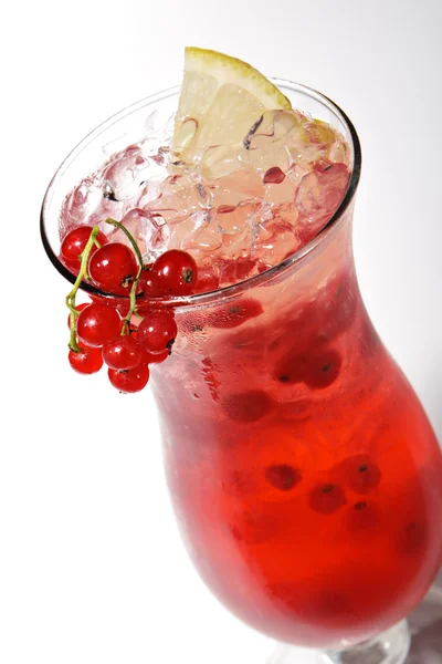 Ribes rosso Cocktail — Foto Stock