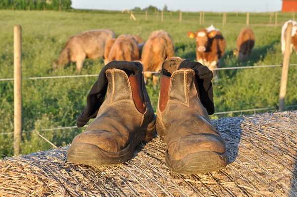 Farmers boots — Stock Photo, Image