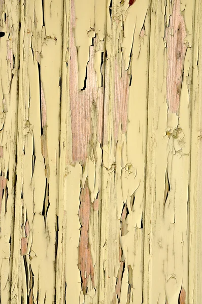 Peeling wood — Stock Photo, Image