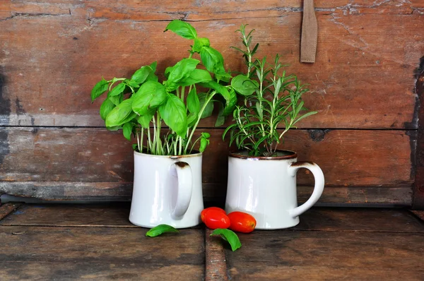 Herbs and tomatoes — Stock Photo, Image